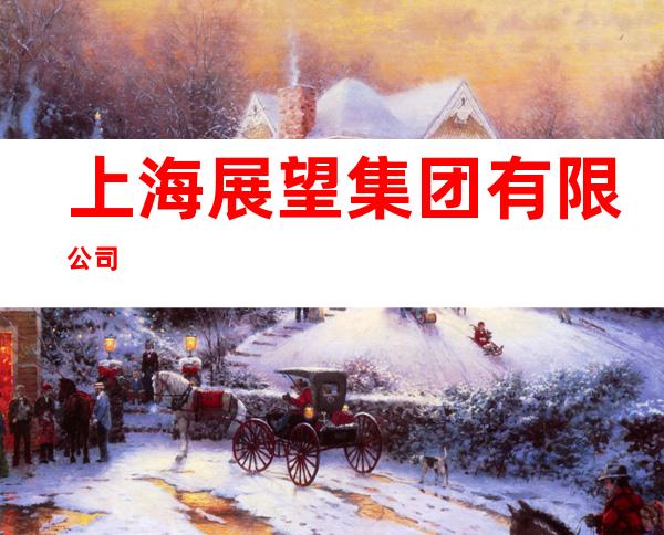 上海展望集团有限公司